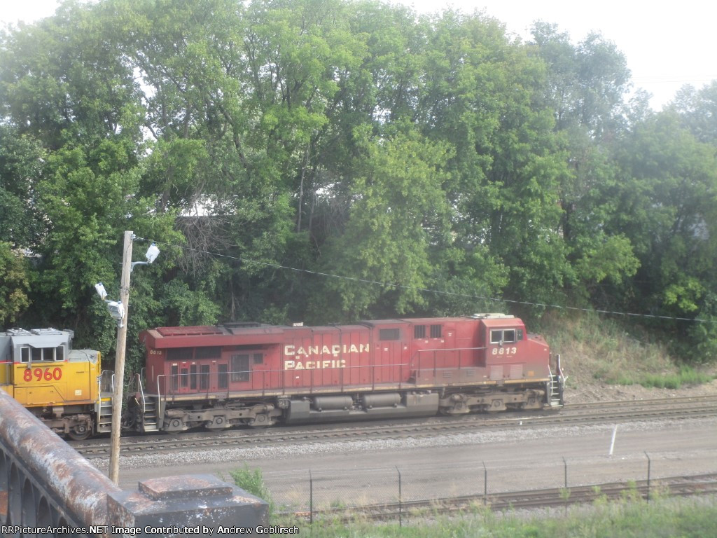 CP 8813